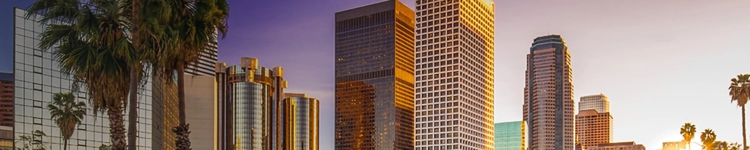 Banner image